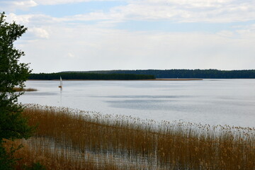 A view of a small boat or other vessel with a sail traversing a vast yet shallow river the coast of which is surrounded with a forest, moor, and a small sandy beach, seen in summer in Poland