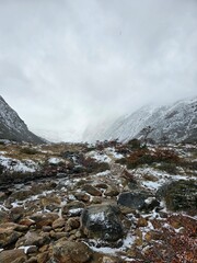 stream in the mountains