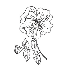 Flower Isolated Contour Line Drawing. Great Design for Any Purposes. Doodle Vector Illustration. Black Line Coloring Page.