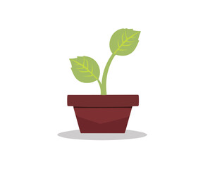 Vase decoration plant in the pot leaf in vase illustration vector image
