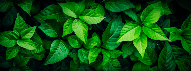 Green leaves banner background. Generative Ai,