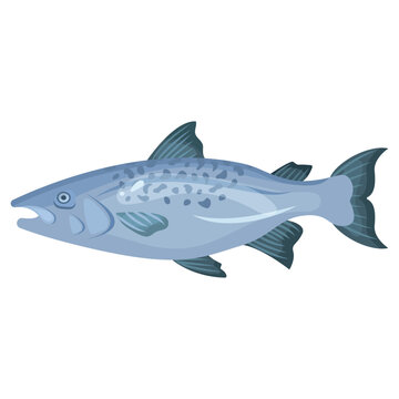 Vector cartoon image of a fish. The concept of restaurant dishes and seafood. A juicy and bright element for your design.