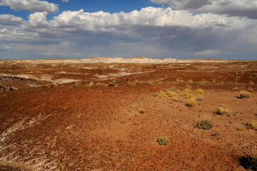 Rugged Landscape Petrified Forest Arizona