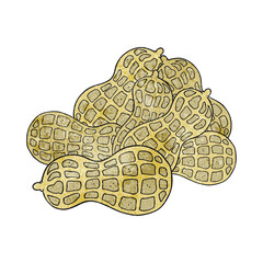 freehand drawn texture cartoon peanuts