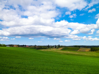 Fototapeta premium Green fields and hills in Wiezyca, Kashubian Region, Poland.