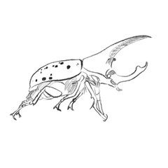 silhouette of a beetle