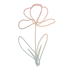 aesthetic bohemian hand drawn clipart