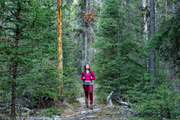 Fototapeta premium Tourist woman walking on the trail, between the trees in the forest. Banff National Park.