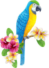 Parrot Ara with tropical flowers and fan palm leaf. Exotic floral composition, watercolor painting blue-and-yellow macaw.