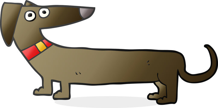 freehand drawn cartoon sausage dog