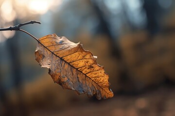 Close up photograph of a singular dry leaf. Generative AI