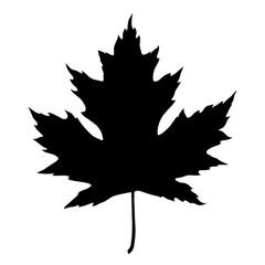 maple leaf silhouette
