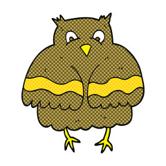 freehand drawn cartoon owl