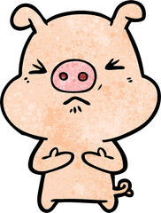 cartoon angry pig