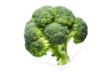 broccoli  isolated on transparent background. genarative ai