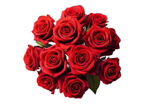 bouquet of red roses isolated with transparent background