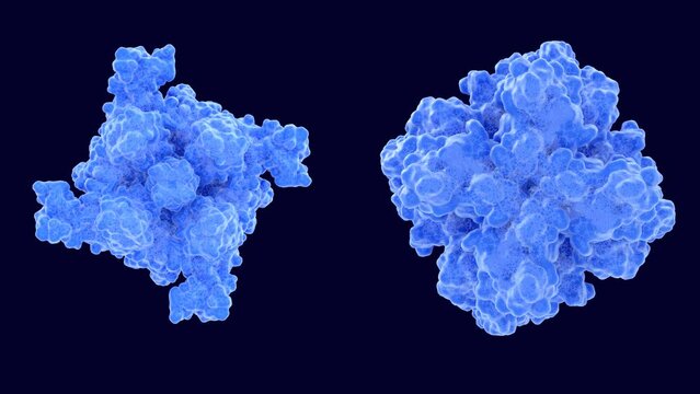 The transient receptor potential channel TRPM7 , opening and closing its cation channel. View from the extracellular (left) and intracellular (right) side. Loopable animation. 