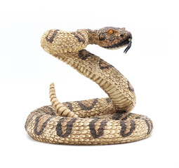 3d model fake rattlesnake rattle snake statue in strike pose with tongue out.  plaster or concrete...