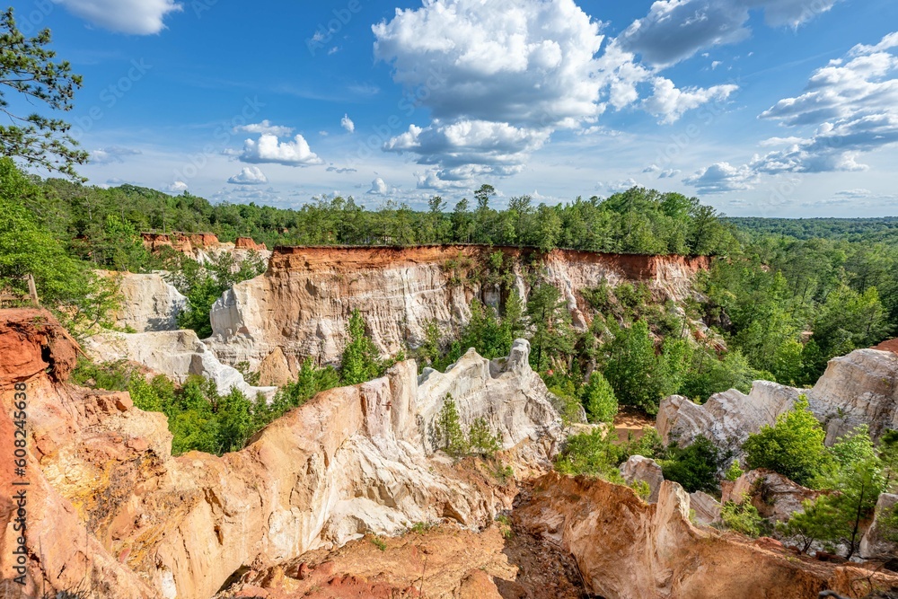 Wall mural providence canyon, georgia