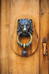 Tête de lion sur porte en bois