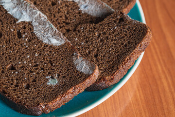 Dry musty bread. Spoiled, non-consumable food. Slices of black bread, covered with mold. Mold on bread