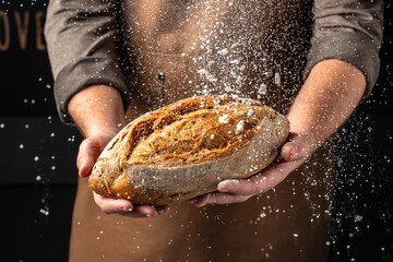 male hands holding corn bread with powder in a freeze motion of a cloud of powder midair. Hands...