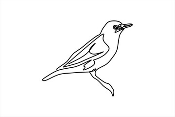 continuous line drawing of bird perching illustration