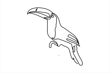 continuous line drawing of long beak bird illustration