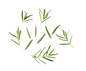 Rosemary on transparent png