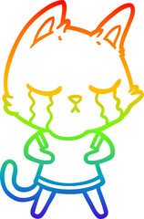 rainbow gradient line drawing of a crying cartoon cat
