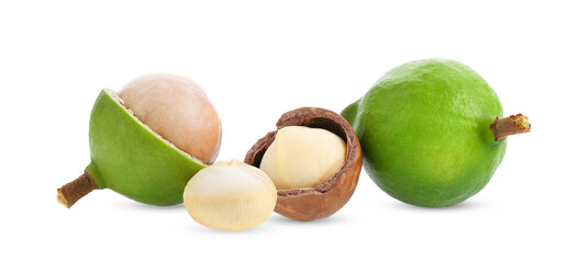 fresh macadamia nuts on transparent png