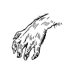 Zombie hand. Hand drawn vector illustration. Hand drawn style.