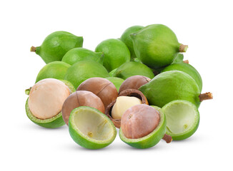 fresh macadamia nut on transparent png