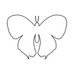The insect concept is presented in the form of a butterfly silhouette icon on a white background.