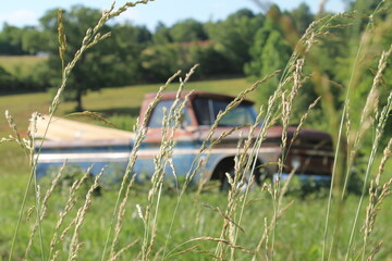 old truck in the field