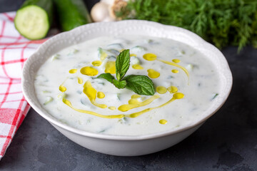 Traditional delicious appetizer; tzatziki (Turkish name; cacik)