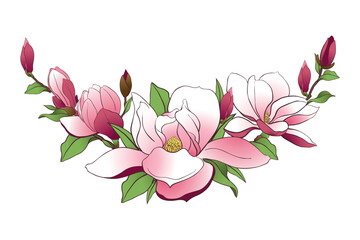 Magnolia branch isolated on transparent background. Spring pink flowers, buds and leaves. Vector illustration for creating wedding invitations, congratulations on International Women's Day.