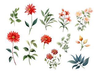 Watercolor flowers and leaves collection garden flowers. Wedding botanic floral vector illustration.