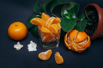 tangerines/oranges