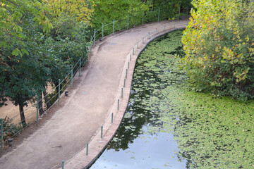 A Street Along a Pond Filled with Plants and Algaes in the Middle of Nature
