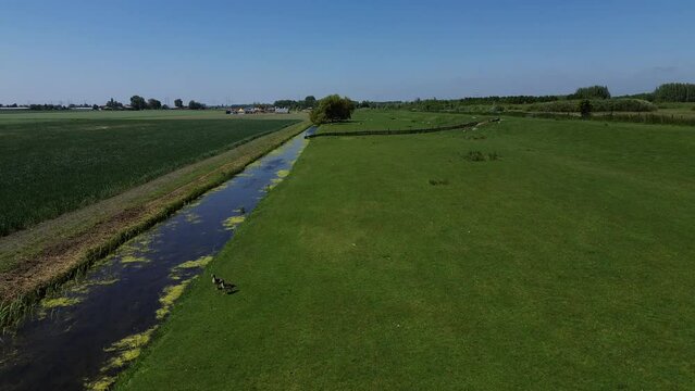 Idyllic aerial view of the Dutch polder landscape on a sunny day in spring.