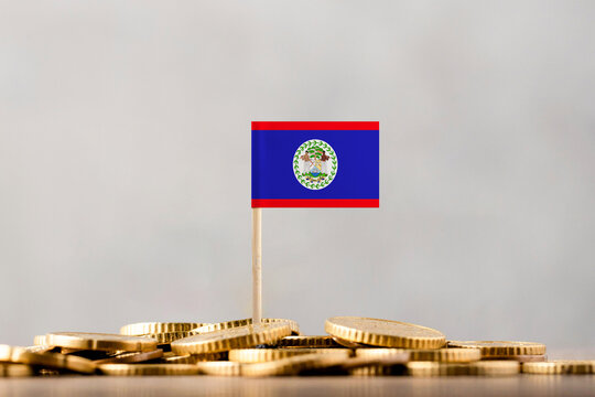 The Flag of Belize with Coins.