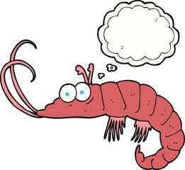 freehand drawn thought bubble cartoon shrimp