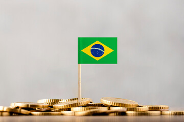 The Flag of Brazil with Coins.