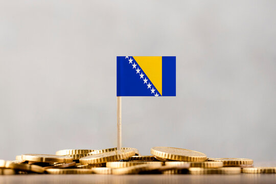The Flag of Bosnia and Herzegovina with Coins.