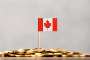 Foto op Plexiglas The Flag of Canada with Coins. © hyotographics