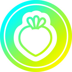 fresh fruit circular icon with cool gradient finish