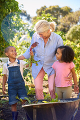 Grandchildren Helping Grandmother Working In Vegetable Garden Or Allotment With Barrow At Home