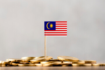 The Flag of Malaysia with Coins.