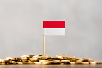 The Flag of Monaco with Coins.